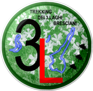 logo 3L